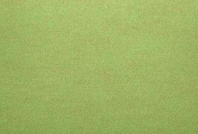 The primary subject of the image is a large, green, grassy field. The setting is an outdoor environment, with no visible backdrop or surface. The visual style of the image is a photo, capturing the natural beauty of the grassy field. The dominant colors in the image are green, creating a serene and peaceful atmosphere.