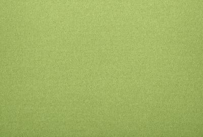 The primary subject of the image is a large, green, textured surface. The setting is a plain, empty room with no other objects or people visible. The visual style is a close-up of the green surface, which appears to be a textured fabric or a wallpaper with a green hue. The colors and mood of the image are predominantly green, creating a calm and serene atmosphere.