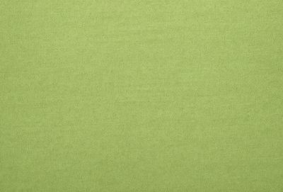 The primary subject of the image is a large, green carpet. The setting is a plain, green background, which creates a simple and clean visual style. The colors and mood of the image are predominantly green, giving it a calm and soothing atmosphere.