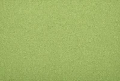 The primary subject of the image is a large, green, textured surface. The setting is a plain, empty room with a green carpet. The visual style is a close-up of the green carpet, which gives the impression of a textured surface. The colors and mood of the image are predominantly green, creating a calm and serene atmosphere.