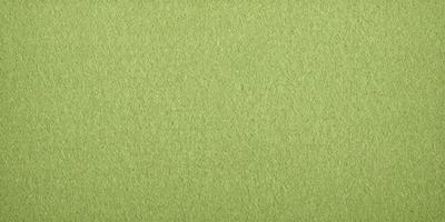 The primary subject of the image is a green surface, which appears to be a piece of fabric or a wall with a green background. The setting is a room with a green wall, and the visual style is a close-up of the green surface. The colors and mood of the image are predominantly green, creating a calm and soothing atmosphere.