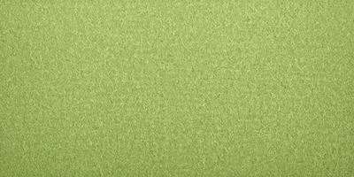 The primary subject of the image is a green carpet. The setting is a green background, which creates a cohesive and visually appealing environment. The visual style is a close-up of the carpet, showcasing its texture and color. The colors and mood of the image are predominantly green, giving it a calm and soothing atmosphere.