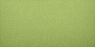 The primary subject of the image is a green surface, which appears to be a piece of fabric or a wallpaper with a green background. The setting is a room with a green wall, and the visual style is a close-up of the green surface. The colors and mood of the image are predominantly green, creating a calm and soothing atmosphere.