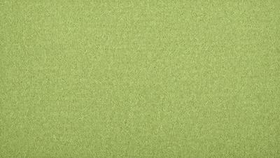 The primary subject of the image is a green carpet. The setting is a large, open space with a green carpet covering the entire area. The visual style is a close-up of the green carpet, showcasing its texture and color. The colors and mood of the image are predominantly green, creating a calm and serene atmosphere.