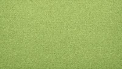 The primary subject of the image is a large, green, textured surface. The setting is a close-up of the surface, which appears to be a carpet or a similar textured material. The visual style is a close-up, which emphasizes the details of the surface. The colors and mood of the image are predominantly green, giving it a calm and soothing atmosphere.