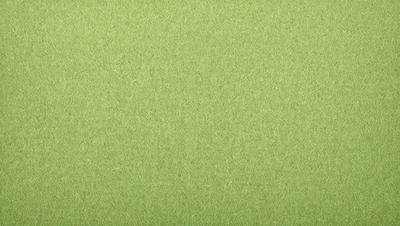 The primary subject of the image is a green surface, which appears to be a piece of fabric or a wallpaper with a green background. The setting is a room with a green background, and the visual style is a close-up of the green surface. The colors and mood of the image are predominantly green, creating a calm and soothing atmosphere.