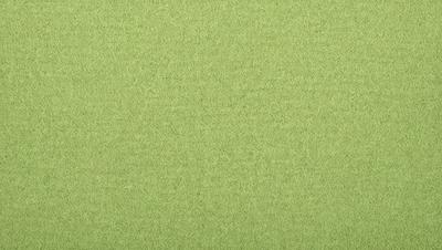 The primary subject of the image is a large, green carpet. The setting is a room with a green background, which creates a cohesive and visually appealing environment. The visual style is a close-up of the carpet, showcasing its texture and color. The dominant colors are green, which creates a calm and soothing atmosphere.