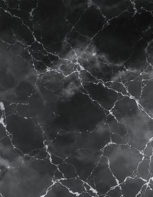 The primary subject of the image is a black and white photo of a marble wall with a cloudy sky in the background. The setting is a stone wall with a cloudy sky above it. The visual style is a black and white photo, which gives the image a classic and timeless appearance. The dominant colors are black and white, with the cloudy sky adding a touch of gray and white. The overall atmosphere of the image is moody and dramatic, with the marble wall and cloudy sky creating a sense of depth and