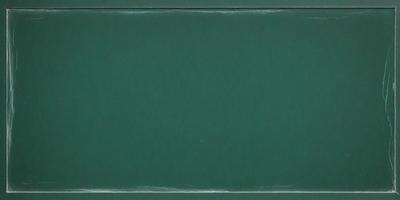 The primary subject of the image is a green background. The setting is a green surface, possibly a piece of cardboard or a wall. The visual style is a close-up of the green background, which gives a sense of depth and texture. The colors and mood of the image are predominantly green, creating a calm and serene atmosphere.