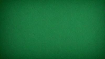 The primary subject of the image is a large, green, textured surface. The setting is a green background, which creates a vibrant and lively atmosphere. The visual style of the image is a close-up of the green surface, showcasing its texture and color. The colors and mood of the image are predominantly green, giving it a fresh and natural feel.