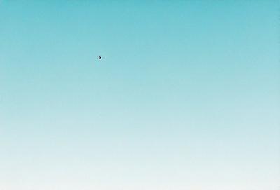 The primary subject of the image is a bird flying high in the sky. The bird is positioned in the middle of the scene, soaring above the vast blue sky. The setting is a clear day with no clouds, providing a perfect backdrop for the bird's flight. The visual style of the image is a photo, capturing the bird in its natural environment. The colors and mood of the image are predominantly blue, creating a serene and peaceful atmosphere.