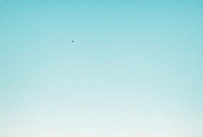 The primary subject of the image is a bird flying high in the sky. The bird is positioned in the middle of the scene, soaring above the vast expanse of the blue sky. The setting is a clear, cloudless day, with no visible landmarks or distractions. The visual style of the image is a realistic representation of the bird in flight, capturing the bird's movement and the beauty of the open sky. The colors and mood of the image are predominantly blue, conveying a sense