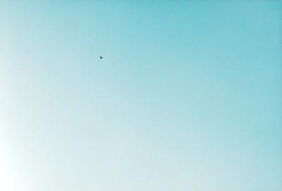 The primary subject of the image is a bird flying high in the sky. The bird is positioned in the middle of the scene, soaring above the vast blue sky. The setting is a clear day with no clouds, providing a perfect backdrop for the bird's flight. The visual style of the image is a photo, capturing the bird in its natural environment. The colors and mood of the image are predominantly blue, creating a serene and peaceful atmosphere.