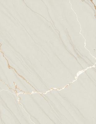 The primary subject of the image is a marble countertop with a gold-colored line running through it. The setting is a kitchen, and the visual style is a close-up of the marble countertop. The colors and mood of the image are predominantly neutral, with the gold line adding a touch of warmth and sophistication to the overall atmosphere.