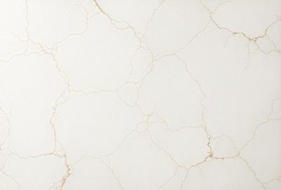 The primary subject of the image is a white wall with a pattern of gold speckles. The setting is a room with a white background, and the visual style is a close-up of the wall. The colors and mood of the image are predominantly white and gold, creating a warm and inviting atmosphere.
