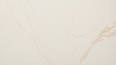 The primary subject of the image is a white wall with a marble texture. The setting is a room with a white background. The visual style is a close-up of the marble wall, showcasing its texture and details. The colors and mood of the image are predominantly white, giving it a clean and minimalist appearance.