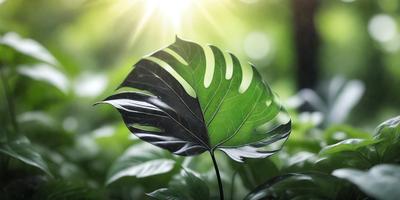 The primary subject of the image is a large, green leaf with a black vein. The leaf is prominently displayed in the foreground, with a bright sunlight shining on it. The setting is a lush green forest, with trees and plants surrounding the leaf. The visual style is a close-up of the leaf, showcasing its intricate details. The colors and mood of the image are vibrant and serene, with the green leaf and sunlight creating a sense of natural beauty.