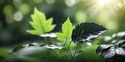 The primary subject of the image is a leaf, which is the main object, scene, or focus of the image. The leaf is situated in a green environment, surrounded by other leaves and plants. The visual style of the image is a photo, capturing the natural beauty of the leaf and its surroundings. The colors and mood of the image are predominantly green, creating a serene and peaceful atmosphere.