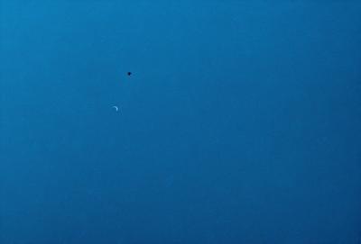 The primary subject of the image is a bird flying in the sky. The bird is positioned in the middle of the scene, with a crescent moon visible in the background. The sky is a deep blue, creating a serene and peaceful atmosphere. The visual style of the image is a photo, capturing the bird in its natural environment.