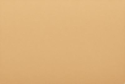 The image is a close-up of a tan wall, possibly a wallpaper or a painted surface. The wall appears to be a plain, unadorned background, with no other objects or elements visible in the image. The primary subject is the tan wall, and the visual style is a close-up, focusing on the wall's texture and color. The colors and mood of the image are predominantly warm and neutral, with the tan wall being the main focus of the scene.