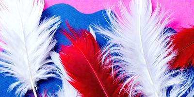 The primary subject of the image is a red and white feather, which is the main focus of the image. The setting is a blue surface, which serves as the backdrop for the feather. The visual style of the image is a close-up of the feather, showcasing its details and texture. The colors in the image are predominantly red and white, creating a bold and striking appearance.