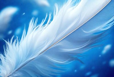The primary subject of the image is a white feather, which is the main object, scene, or focus of the image. The setting/background features a blue sky, which adds to the overall atmosphere of the image. The visual style of the image is a photo, showcasing the details of the feather and its surroundings. The colors and mood of the image are predominantly blue, creating a serene and calming atmosphere.