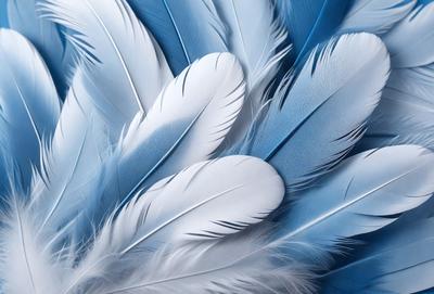 The primary subject of the image is a close-up of a white feather. The setting is a white background, which provides a clean and minimalistic look. The visual style is a photo, showcasing the intricate details of the feather. The colors and mood are predominantly white, giving the image a clean and serene atmosphere.