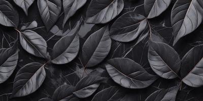 The primary subject of the image is a close-up of a black leaf. The setting is a black background, which creates a striking contrast with the leaf. The visual style is a close-up, which emphasizes the details of the leaf. The colors and mood of the image are predominantly black, giving it a dramatic and moody atmosphere.