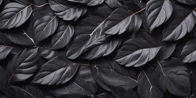 The primary subject of the image is a close-up of a black and red leaf. The leaf is the main object, and it is the focal point of the image. The setting is a black and white background, which adds a dramatic and artistic touch to the visual style. The overall atmosphere is dark and moody, with the contrasting colors of black and red creating a striking visual effect.