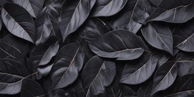 The primary subject of the image is a close-up of a large number of black leaves. The leaves are arranged in a pattern, creating a visually striking scene. The setting is a black background, which contrasts with the leaves, making them stand out even more. The visual style of the image is a close-up, which emphasizes the details of the leaves. The colors and mood of the image are predominantly dark, with the black leaves being the main focus.