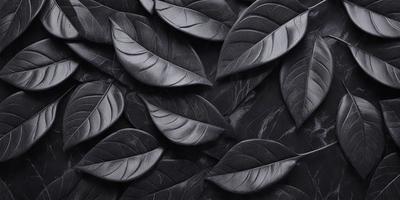 The primary subject of the image is a close-up of a black and white photograph of a leaf. The leaf is the main object, and it is the focal point of the image. The setting is a black background, which provides a stark contrast to the leaf. The visual style is a black and white photograph, giving the image a classic and timeless appearance. The colors and mood of the image are predominantly black and white, creating a sense of depth and contrast.