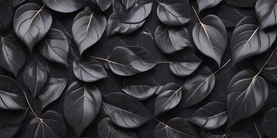 The primary subject of the image is a close-up of a large number of black leaves. The leaves are arranged in a pattern, creating a visually striking scene. The setting is a black background, which contrasts with the leaves, emphasizing their shape and texture. The visual style is a close-up of the leaves, showcasing their details and creating a sense of depth. The colors and mood of the image are predominantly black, giving it a dramatic and moody atmosphere.