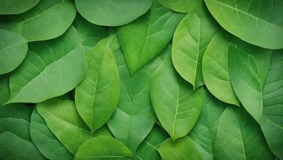 The image features a large green leafy plant with many leaves, creating a lush and vibrant scene. The plant is the primary subject, and it is set against a backdrop of a green leafy background. The visual style of the image is a close-up of the plant, showcasing its intricate details. The dominant colors in the image are green, which creates a fresh and natural atmosphere.