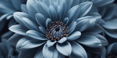 The primary subject of the image is a large, blue flower with a prominent center. The setting is a close-up of the flower, showcasing its details. The visual style is a high-quality photo, capturing the beauty of the flower. The dominant colors are blue and white, creating a serene and calming atmosphere.