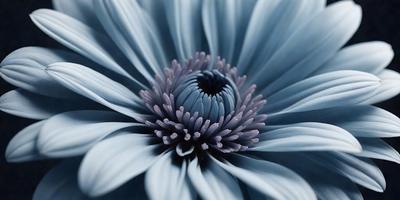 The primary subject of the image is a large, purple flower with a white center. The flower is the main focus of the image, and it is set against a blue background. The visual style of the image is a close-up of the flower, showcasing its details and beauty. The dominant colors in the image are purple and white, creating a serene and calming atmosphere.