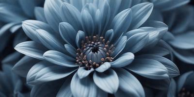 The primary subject of the image is a large, blue flower with a yellow center. The flower is the main focus of the image, and it is set against a blue background. The visual style of the image is a close-up of the flower, showcasing its details and colors. The dominant colors in the image are blue and yellow, creating a calm and serene atmosphere.
