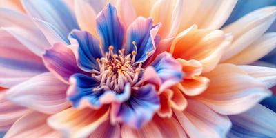 The primary subject of the image is a beautiful, colorful flower with a blue and pink hue. The flower is the focal point of the image, and it is set against a backdrop of a white surface. The visual style of the image is a close-up, which emphasizes the intricate details of the flower. The colors and mood of the image are vibrant and lively, creating a sense of freshness and natural beauty.