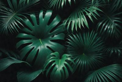 The image features a large green plant with multiple leaves, creating a lush and vibrant scene. The plant is surrounded by other green plants, creating a dense and thriving environment. The visual style of the image is a close-up of the plant, showcasing its intricate details and textures. The colors and mood of the image are predominantly green, conveying a sense of freshness and vitality.