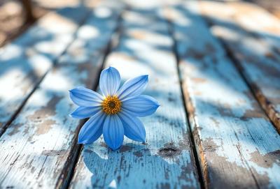 The primary subject of the image is a blue flower, which is sitting on a wooden surface. The setting is a wooden plank, and the visual style is a photo. The dominant colors in the image are blue and yellow, creating a calm and serene atmosphere.