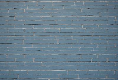 The primary subject of the image is a blue brick wall. The setting is a brick wall, and the visual style is a photo. The dominant colors are blue and white, creating a calm and serene atmosphere.