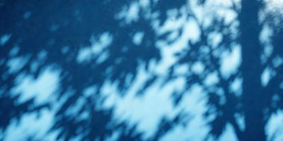 The primary subject of the image is a tree with a blue sky in the background. The tree is casting a shadow on the ground, creating a visually appealing scene. The visual style of the image is a photo, capturing the natural beauty of the tree and its shadow. The colors in the image are predominantly blue, creating a calm and serene atmosphere.