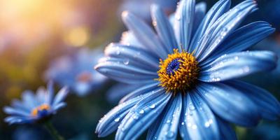 The primary subject of the image is a large blue flower with a yellow center. The flower is the main focus of the image, and it is set against a backdrop of a bright, sunny day. The visual style of the image is a close-up of the flower, showcasing its details and colors. The dominant colors in the image are blue and yellow, creating a vibrant and lively atmosphere.
