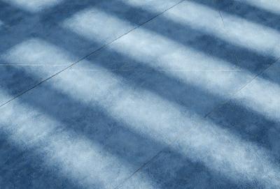 The primary subject of the image is a blue tile floor with a patterned design. The setting is a room with a blue carpet, and the visual style is a photo. The colors and mood of the image are predominantly blue, creating a calm and serene atmosphere.
