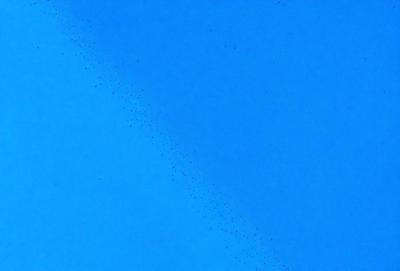 The primary subject of the image is a blue sky with a few birds flying through it. The setting is an open sky, and the visual style is a photo. The colors in the image are predominantly blue, creating a calm and serene atmosphere.