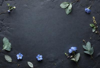 The primary subject of the image is a close-up of a blue flower, which is placed on a black surface. The setting is a rocky surface, and the visual style appears to be a photo. The dominant colors are blue and black, creating a moody atmosphere.