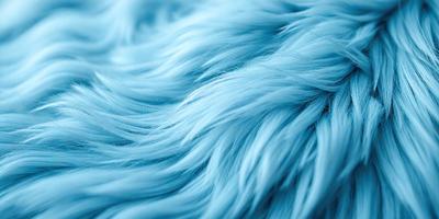 The primary subject of the image is a blue, furry object that appears to be a piece of fabric or a furry material. The setting is a blue background, which creates a contrasting and visually appealing environment. The visual style of the image is a close-up of the furry object, showcasing its texture and details. The colors and mood of the image are predominantly blue, giving it a calm and serene atmosphere.