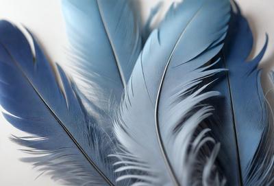 The primary subject of the image is a close-up of a blue feather. The setting is a white background, which provides a clean and uncluttered environment for the feather to stand out. The visual style is a realistic representation of the feather, showcasing its intricate details and texture. The dominant colors in the image are blue and white, creating a calm and serene atmosphere.