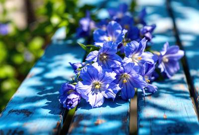 The primary subject of the image is a blue flower arrangement. The setting is a wooden bench, and the visual style is a photo. The dominant colors in the image are blue and green, creating a calm and serene atmosphere.