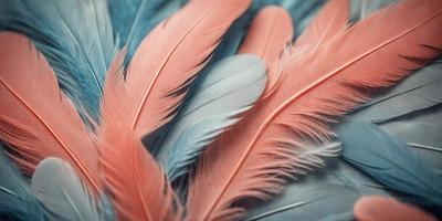 The primary subject of the image is a close-up of a pink and blue feather. The setting is a table, and the visual style is a photo. The dominant colors in the image are pink and blue, creating a vibrant and lively atmosphere.