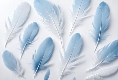 The primary subject of the image is a collection of white feathers arranged on a white background. The feathers are arranged in various positions, creating a visually appealing and artistic display. The setting is a white wall, which serves as the perfect backdrop for the feathers. The visual style of the image is a combination of photo and digital art, as the feathers are captured in a realistic manner while the arrangement and overall composition are carefully crafted. The colors and mood of the image are predominantly white, which